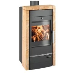 Kaminofen Haas Und Sohn Premium AQUA RIVA II Easy 8 KW Wasserführend